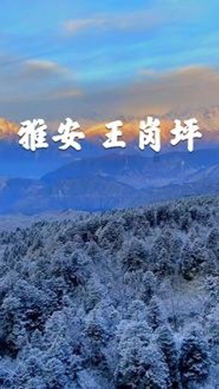 暗黑精灵的装扮
